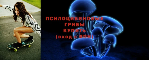 дмт Нея