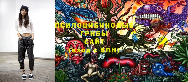 амф Нефтекумск
