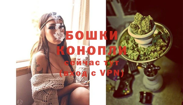 дмт Нея