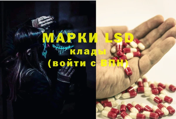 дмт Нея