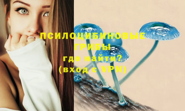 амф Нефтекумск